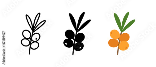 Minimalist sea buckthorn icons in various styles on white background