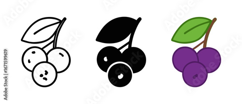 Set of berry icons in minimalist, silhouette, and colorful styles