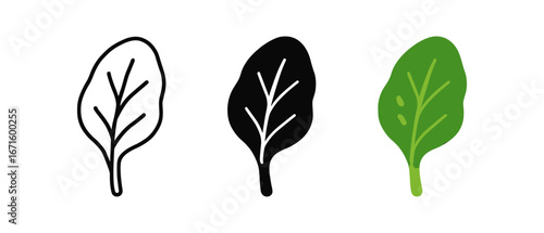Leaf design set: outline, silhouette, and color variations for eco-friendly themes
