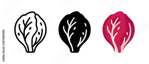 Colorful cabbage icons: line art, solid, and flat variations