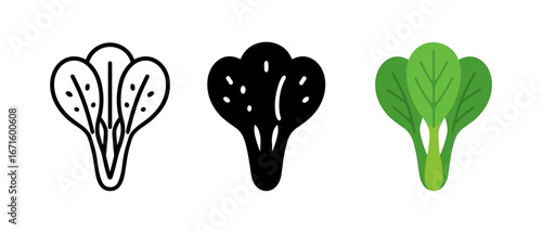 Three spinach leaf icons in flat design with line, solid, and colored styles