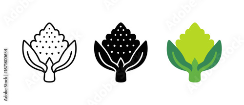 Romanesco cauliflower icons: black and white, solid, and color versions