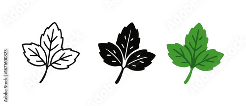 Set of herb leaves in outline, silhouette, and color styles