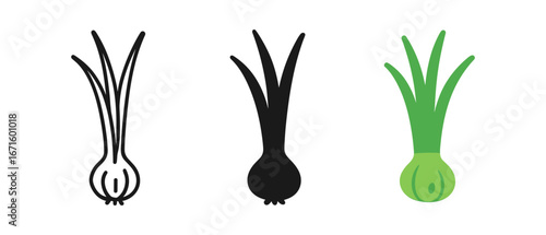 Three onion designs: outline, silhouette, and flat green variations