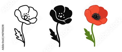 Creative floral designs featuring black and white, silhouette, and vibrant red poppy flowers