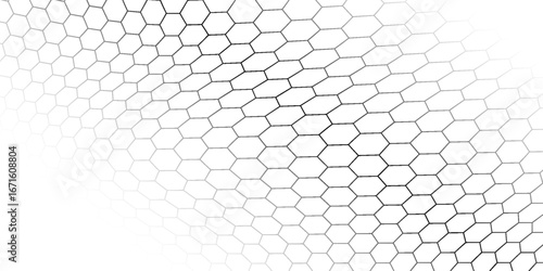 Hexagon bee hive pattern seamless white background vector illustration.