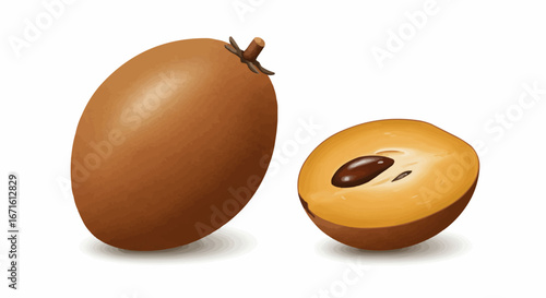 Realistic Sapodilla Fruit (Chico) Whole and Half with Seed, Isolated on White Background. Tropical Sweet Fruit Vector Illustration.