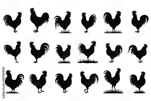 Collection of Black Rooster Silhouettes on White Background