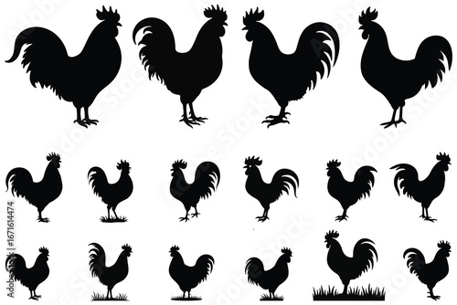 Multiple Black Rooster Silhouettes on White Background