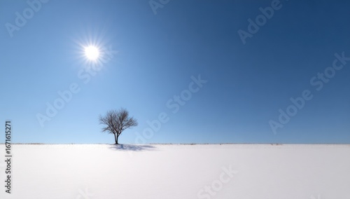 Lone tree stands in a snow-covered field under a bright sun and clear blue sky. Minimalist, serene, and peaceful winter landscape