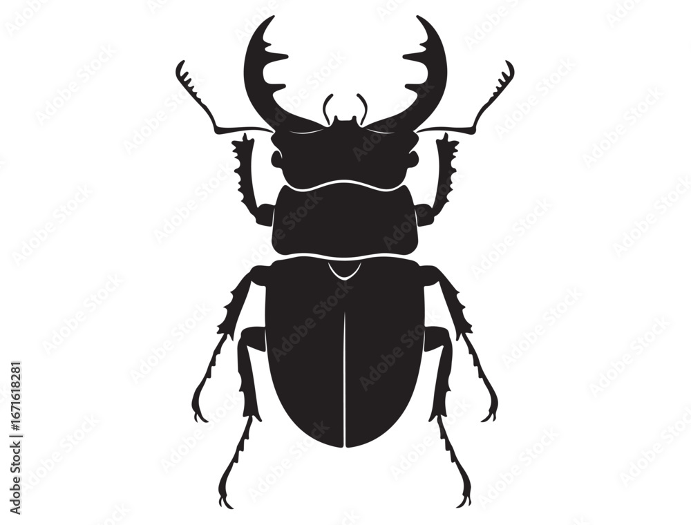 Fototapeta premium STAG BEETLE SILHOUETTE