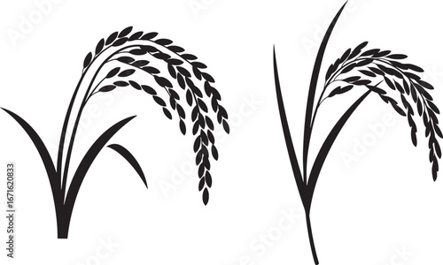 Two stalks of rice plants in a simple black silhouette