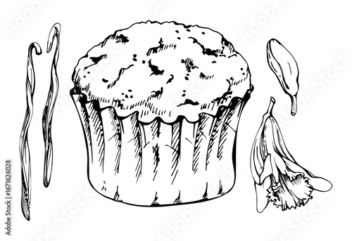 Home-baked cupcake muffin in parchment paper liner with vanilla orchid blossom and spice seed pods. Vector ink hand drawn isolated clipart. Cafe templates, food labels, recipe card illustrations.