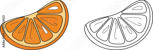 Fresh Orange Segment Illustration with Juicy Pulp and Distinctive Citrus Detail