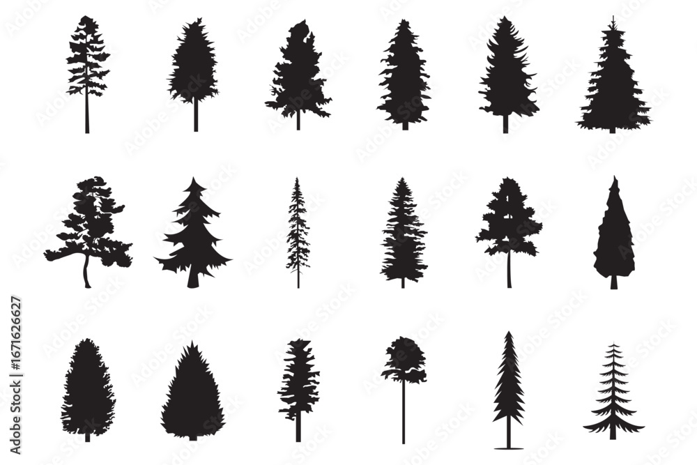 Fototapeta premium Silhouettes of various evergreen trees in a forest . A collection of tree silhouettes in various shapes and sizes . pine tree silhouette set .