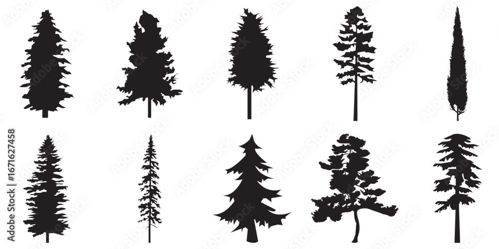 Obraz premium Silhouette of pine trees, Silhouettes of Christmas trees, various types . Silhouettes of evergreen trees in a forest setting . 