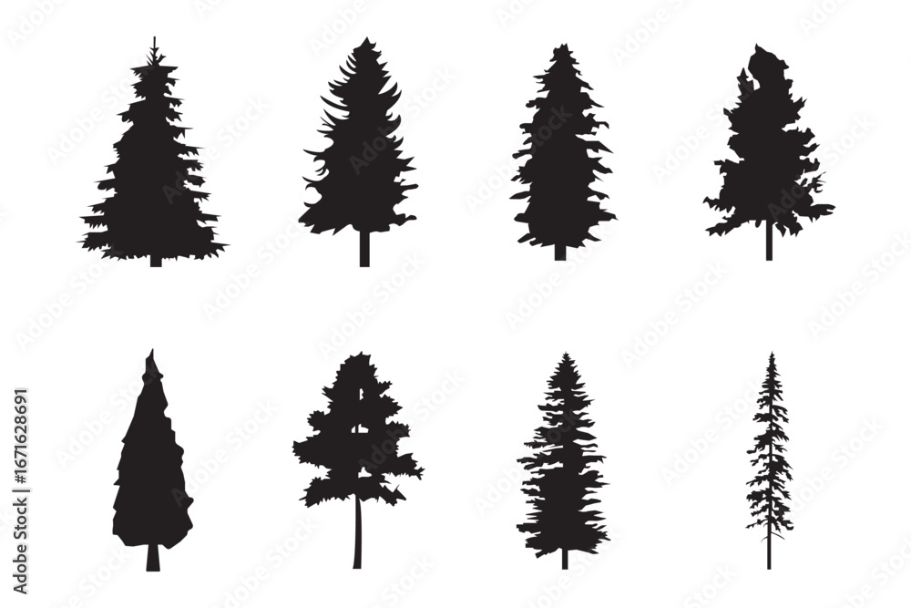 Fototapeta premium Pine tree silhouette collection on white background. Spruce tree silhouette set . Forest tree silhouettes collection.