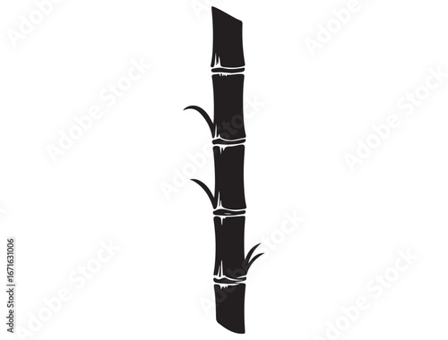 SUGARCANE SILHOUETTE