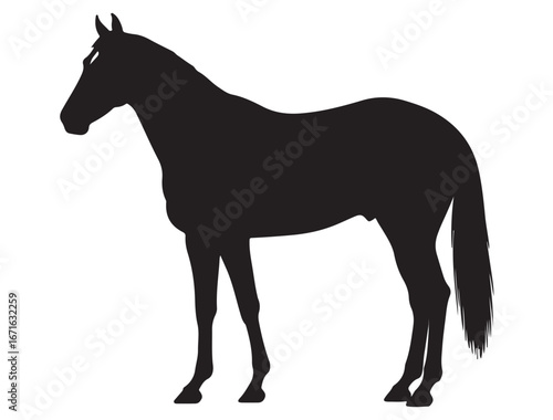 THOROUGHBRED HORSE SILHOUETTE