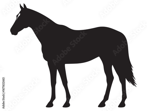 THOROUGHBRED HORSE SILHOUETTE