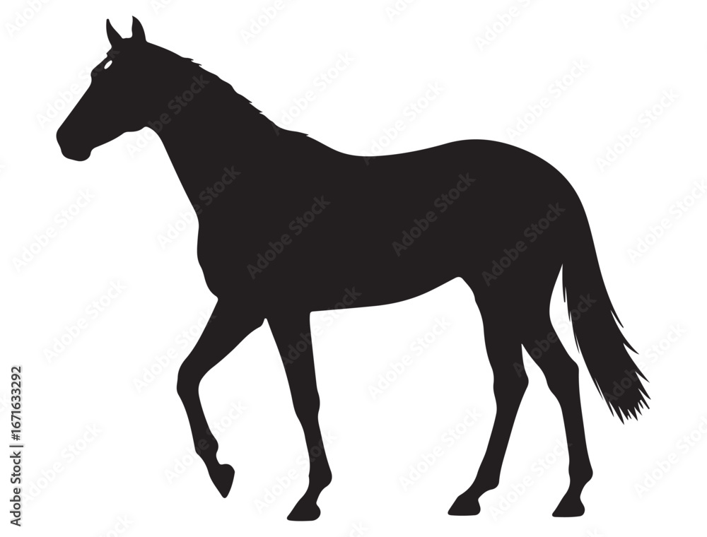 Fototapeta premium THOROUGHBRED HORSE SILHOUETTE