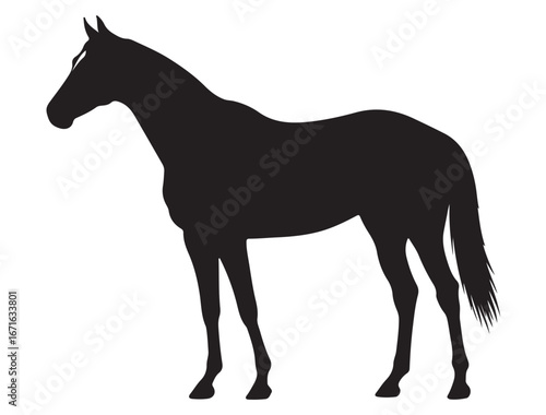 THOROUGHBRED HORSE SILHOUETTE