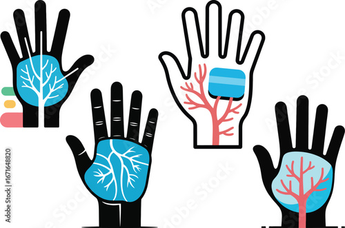 Hand Anatomy Detailed Illustrations of Vascular Systems