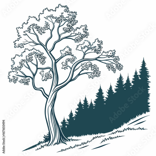 Illustration of a majestic tree standing tall on a grassy hill, with a dense forest in the background