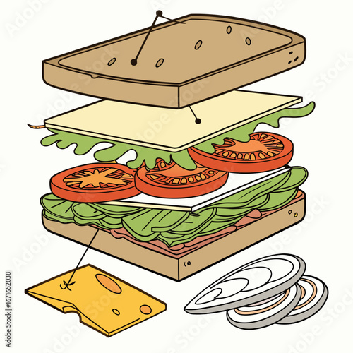 Vector art of exploded sandwich diagram showing the individual ingredients and layers perfect for recipe or food illustration