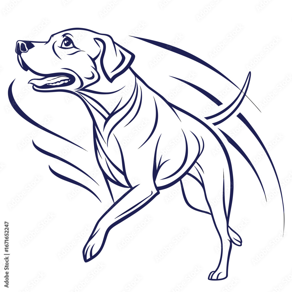 Obraz premium Vector art of line art illustration of a labrador retriever dog running and jumping, , sport and action