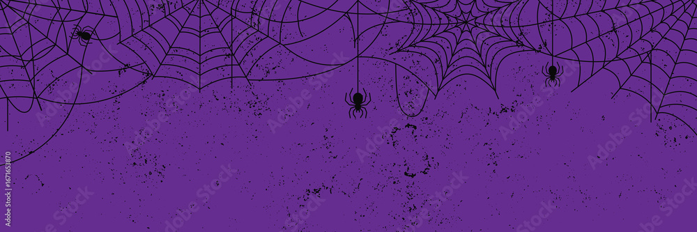 Black Spider Web and spiders on purple grunge background. Halloween Spooky cobweb hanging , vector Illustration