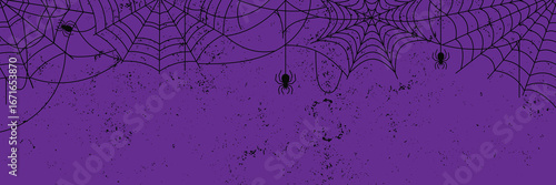Black Spider Web and spiders on purple grunge background. Halloween Spooky cobweb hanging , vector Illustration