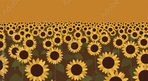 View of Sunflowers Blooming in a Field