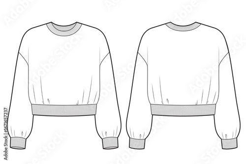 Cropped sweatshirt technical fashion illustration