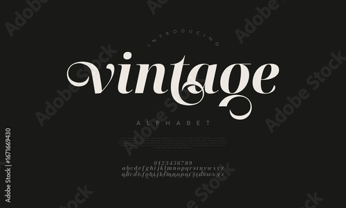 Vintage Decorative Serif Alphabet Font with Elegant Classic Style