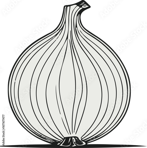  Minimal onion slice line art vector, abstract doodle rings, simple clean vegetable sketch icon