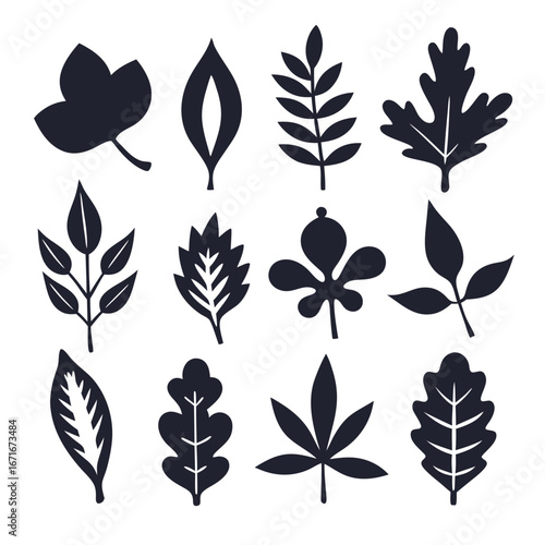 Twelve distinct leaf silhouettes appear in a contrasting monochrome palette against a bright background