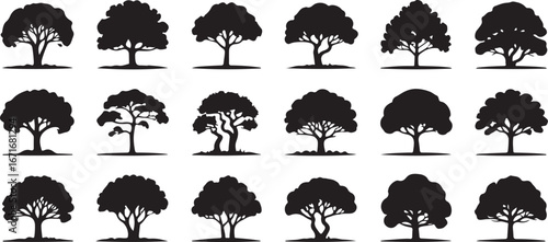 tree silhouettes