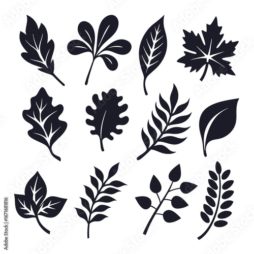 Various leaves silhouettes represent diverse plant species isolated against a white background