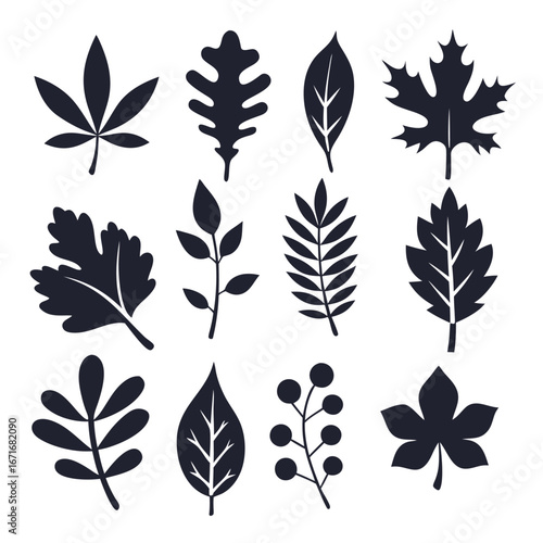 Twelve diverse monochrome leaf silhouettes are arranged on a stark white background for botanical study