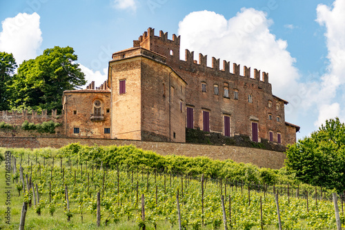 Piemonte - Monferrato - Viarigi - Panorami della campagna - Sfondi desktop