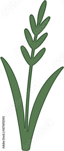 Simple Handdrawn Green Wheat Stem Plant Element Illustration Design
