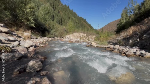 Beautiful view of a mountain river flowing near a coniferous forest. Scenic wilderness landscape with clear water, green trees, and rocky slopes creating peaceful atmosphere of untouched highland natu