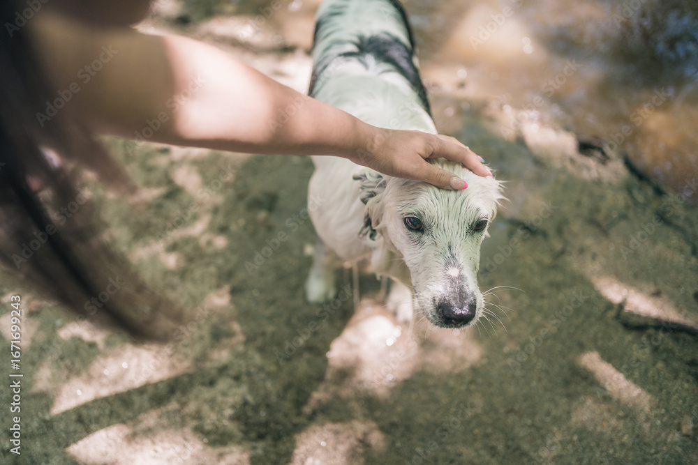 Fototapeta premium Woman petting wet dog on river bank