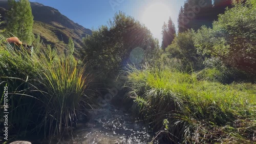 Camera moves upward from a small river and green vegetation to reveal a beautiful mountain landscape. Scenic wilderness view with rocky slopes, coniferous trees, and natural highland beauty in peacefu