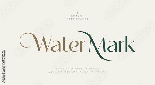 Watermark, Luxury wedding alphabet letters font and number. Typography elegant classic lettering serif fonts decorative vintage retro concept. vector illustration