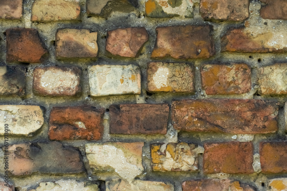 Fototapeta premium old brick wall