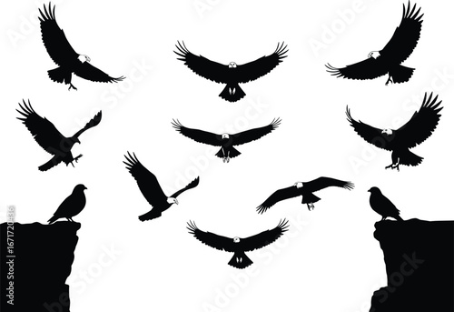 Black silhouettes of flying eagles and perched doves on cliffs, wildlife freedom concept, bird shapes in flight, symbolic nature scene, migration, confrontation