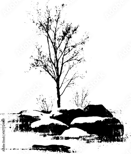 Grunge black and white bare tree illustration for urban art design