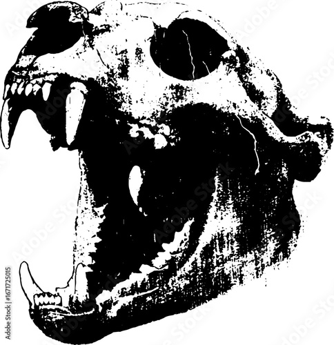 Grunge black and white bear skull illustration for tattoo and design